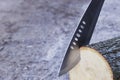 Machete stuck in stump Royalty Free Stock Photo
