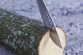 Machete stuck in stump Royalty Free Stock Photo