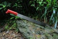 A machete stuck in a tree Royalty Free Stock Photo