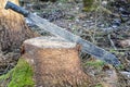 Machete in stump Royalty Free Stock Photo