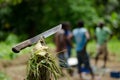 Machete in Vanuatu