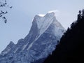 Machhapuchre or Fishtail in the morning Royalty Free Stock Photo