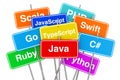 Machine Code Languages on Colorful Signposts. 3d Rendering Royalty Free Stock Photo