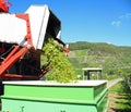 Machine grape harvest