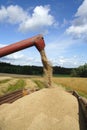 Machine harvesting Royalty Free Stock Photo