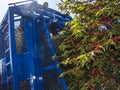 Machine harvesting coffe on field in Minas Gerais State Royalty Free Stock Photo