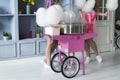 Machine for making cotton candy. Royalty Free Stock Photo