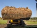 Machine, wheel loader during backfilling around the foundation of the building Royalty Free Stock Photo