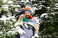 Macho with beard and mustache hiding between firtrees branches. Royalty Free Stock Photo