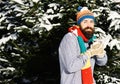 Macho with beard and mustache makes snowball. Royalty Free Stock Photo
