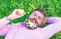 Macho with daisies in beard relaxing. Bearded man with daisy flowers in beard lay on grassplot, grass background. Pollen Royalty Free Stock Photo