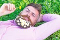 Macho with daisies in beard relaxing. Bearded man with daisy flowers in beard lay on grassplot, grass background. Man Royalty Free Stock Photo