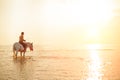 Macho man and horse on the background of sky and water. Boy mode Royalty Free Stock Photo