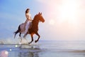 Macho man and horse on the background of sky and water. Boy mode Royalty Free Stock Photo