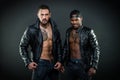 Machos with muscular torsos look attractive in leather jackets, dark background. Masculinity and brutality concept. Men Royalty Free Stock Photo