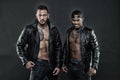 Machos with muscular torsos look attractive in leather jackets, dark background. Men on confident faces with bristle Royalty Free Stock Photo