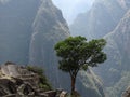 Machu Picchu Royalty Free Stock Photo