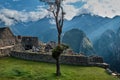 Machu Picchu in the Andes. Mountain landscape in Peru Royalty Free Stock Photo