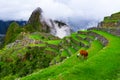 Machu Picchu, Cusco,Peru: Overview of the lost inca city Machu Picchu with Wayna Picchu peak Royalty Free Stock Photo