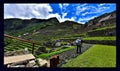 Machu Picchu- 266-Cusco-Peru-