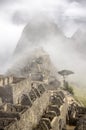 Machu Picchu, early morning, Peru Royalty Free Stock Photo