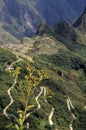 Machu Picchu- Peru Royalty Free Stock Photo