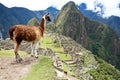 Machu Picchu, Peru. Royalty Free Stock Photo
