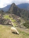 Machu Picchu Peru ancient incan ruins mountains and scenery Royalty Free Stock Photo