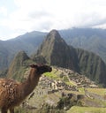 Machu Picchu Peru ancient incan ruins mountains and scenery Royalty Free Stock Photo