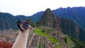 Machu Picchu site, Peru