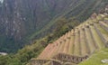 Machu Picchu terraces Royalty Free Stock Photo