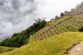 Machu Picchu Terraces With Stone Grass And Tourists Royalty Free Stock Photo