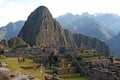 Machu pichu life Royalty Free Stock Photo