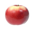 Macintosh utility apple Royalty Free Stock Photo