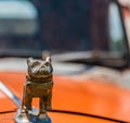 Mack Bulldog on Orange