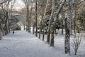 Snow in istanbul. Winter landscape from macka democracy and public park in winter season.