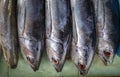 Mackarel tuna, fresh fish in a traditional market in Yogyakarta, Indonesia