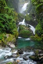 Mackay Falls - Milford Track Royalty Free Stock Photo