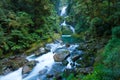 Mackay Falls, wild rainforest cascade waterfall, Milford Track Great walk, Fiordland, New Zealand Royalty Free Stock Photo