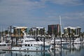 Mackay Marina Village Queensland Australia