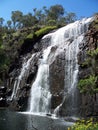 Mackenzie Falls Royalty Free Stock Photo