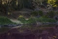 Mackenzie falls grampians national park australia Royalty Free Stock Photo