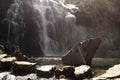 Mackenzie falls grampians national park australia Royalty Free Stock Photo