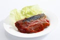 Mackerel filet and tomato sauce on plate