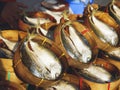 Mackerel fish in Basket Street food Thailand