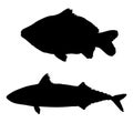 Mackerel fish and carp black silhouette