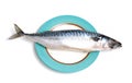 Mackerel fish frozen