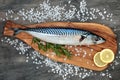 Mackerel Fish for Healthy Eating Royalty Free Stock Photo