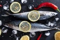 Mackerel fish, lemon slices, ice cubes, spices, red chili pepper, salt on a black background top view Royalty Free Stock Photo