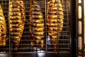 Mackerel fish lying in the grill close-up